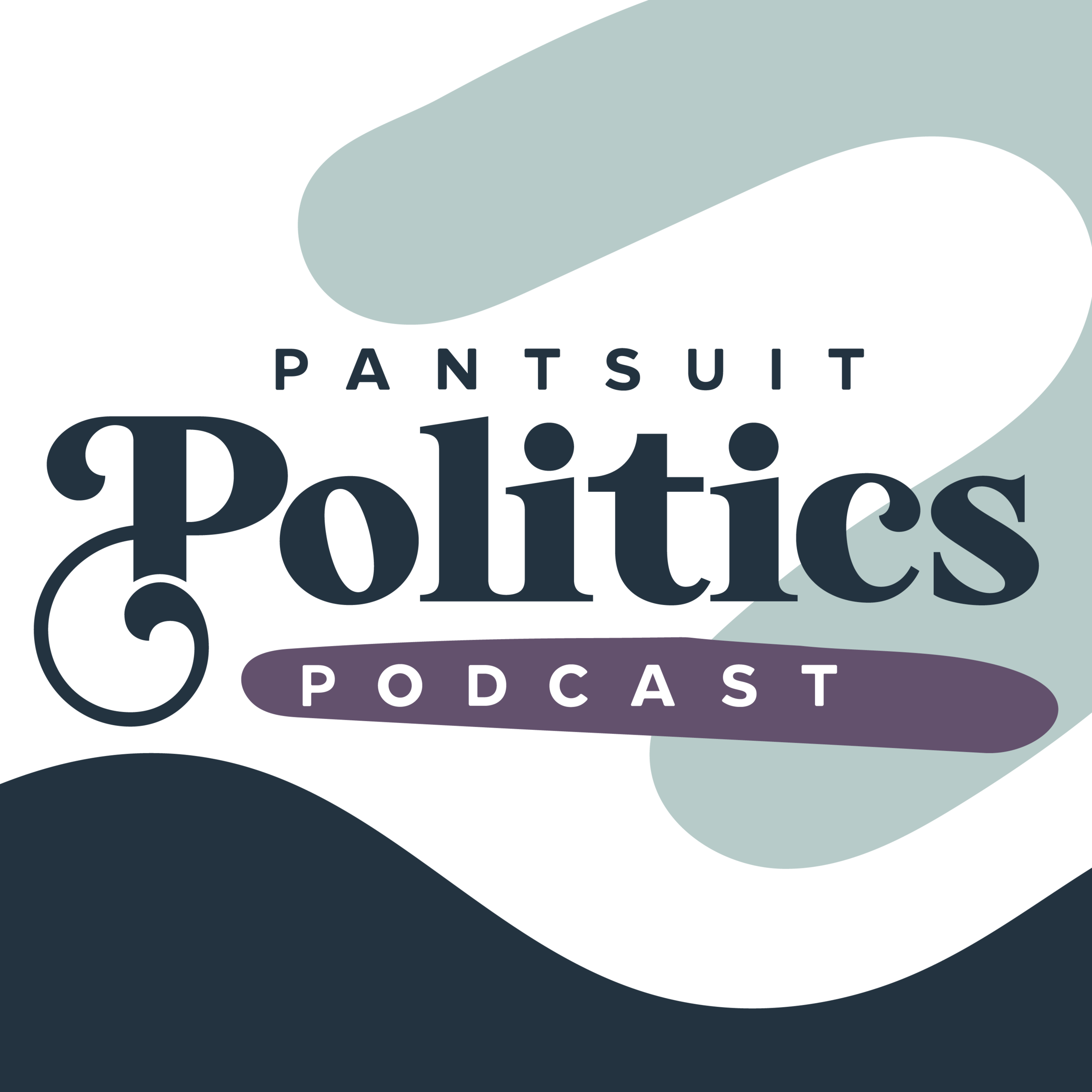 Pantsuit Politics Ornaments