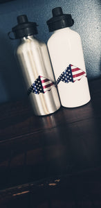 Stainless Steel Water Bottle